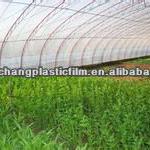 PE/LDPE/LLDPE agricultural film/greenhouse film/mulch film 2013-8-29