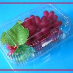 Plastic blister packaging for fruit tray ZL-233