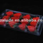 Plastic Box for Fruits HLDP