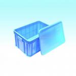 plastic box with lid