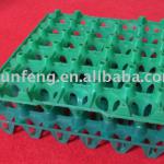 Plastic Egg Tray 30