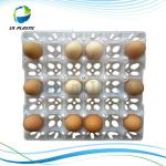 Plastic Egg Tray PET30