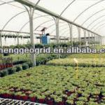 plastic film for greenhouse RH-PF