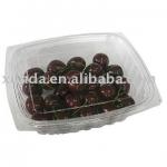 Plastic Fruit storage Containers XDP-FP-047