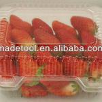 plastic fruit tray