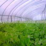 Plastic Greenhouse film