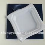 plastic plate G22101