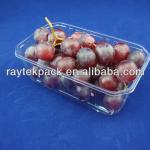 plastic tray for fruit and vegetable B0145