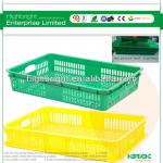 plastic trays for vegetables and fruits HBE-LB-9