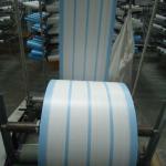 PP Fabrics with Blue Strips Fabric 11