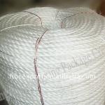 PP Packing Rope Rope-1011