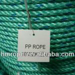 pp rope/pp danline rope/pp twisted rope HM-11073006