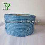 pp webbing polypropylene straps/5mm pp strap/pp webbing strap ZY020087