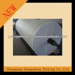 PP woven fabric/PP fabric/pp woven fabric rolls GZ0003