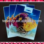 Printed Patch Handle Pastic Bags DP002