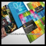 Professional brochure printing service at competitive price 43906