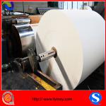 Professional Pe paper manufacturer for 14 years Paper roll