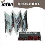 promotion folded printing brochure ITB 00068