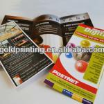 Promotion Leaflet Flyer Printing GP2011011401