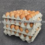 Pulp Egg Tray for Packaging AA Size AA