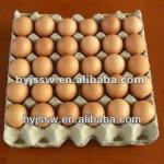 Pulp Moulding Paper Egg Tray for 30 eggs BYT26