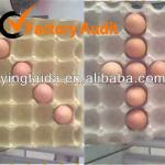 pulp moulding paper egg tray for 30 eggs ytd9