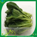 pvc blister tray for vegetables 03