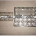 PVC egg tray 10 chick egg tray plastic tray 10 eggs tray poultry egg tray