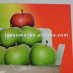 PVC FLEX BANNER NF530-440gsm