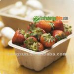 rectangular bagasse disposable strawberry tray ZX2-T-04