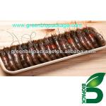 Recyclable eco-friendly disposable food tray BIOP-BAMB035