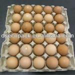 Recycled 30 Cavity Paper Egg Tray ZT-D-04