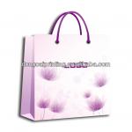 Shopping Bag DC-B16501