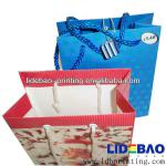 Shopping Paper bag wholesale LDB-06 paper bag