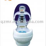 Spa water massage cabin QZ-808 808