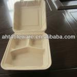 sugarcane disposable biodegradable clamshell AH-014