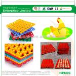 Supermarket Egg boxes HBE-ET