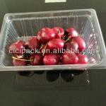 supermarket fruit tray HL055