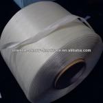 Suppy 5mm PP packing strap 001