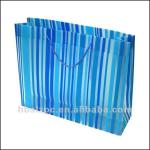 T-shirt plastic shopping bag/Plastic shopping retail bags/Printed plastic shopping bags LC-CC-11