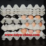 Taiyu-pulp and plastic egg tray for sale (have in stock) 30 eggs