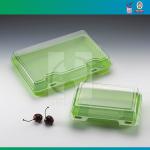 Take Away Plastic Lunch Box CX040CA-CX041CA