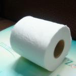 Toilet tissue rolls 2013puro limp