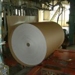 Top Quality Newsprint Paper Office Printing Copy Paper A12-B5