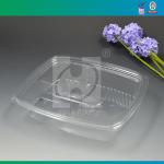 Transparent Disposable Plastic Lunch Box FD001FA