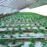 transpraret biodegradable PE plastic mulch film 2014-2-21-14