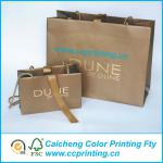 Trendy paper shopping bag with ribbon handle CC-062