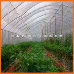 tunnel plastic film greenhouse film agriculture TYPE-NY500