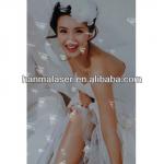 wedding photo 3d Laminating Film/multi lens film/decoration film 02