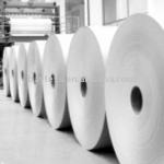 White Woodfree Offset Printing Paper in reel